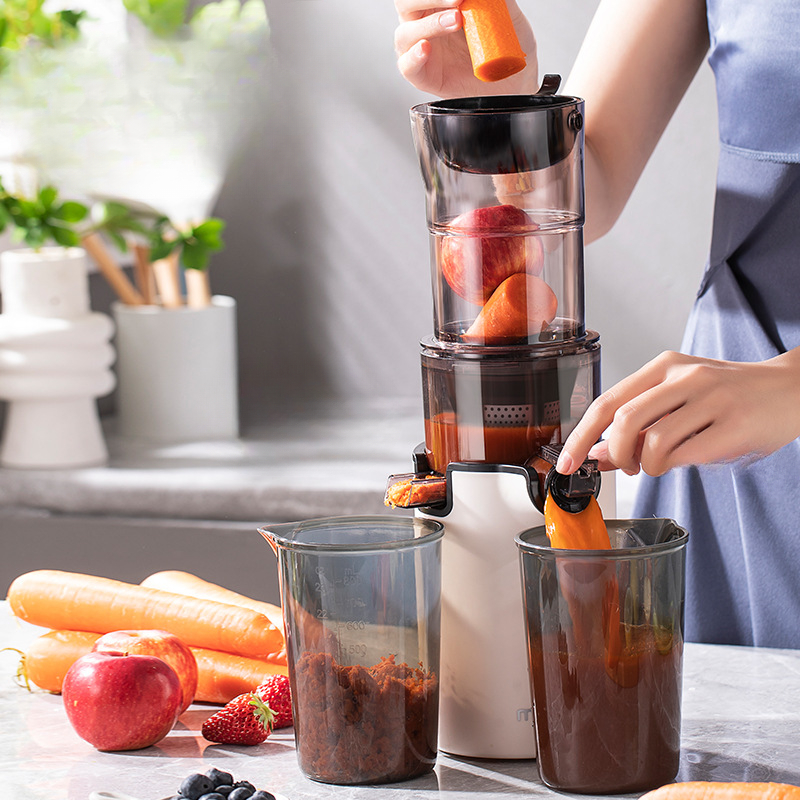 Spremiagrumi elettrico lento p - Citrus Juicer Bar recensione e prezzo